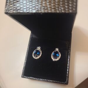 Elegant Blue and Silver Earrings (Silver Plated)